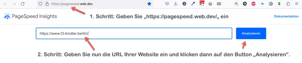 Screenshot Google Pagespeed Insights Eingabeformular